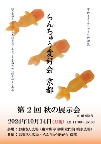 らんちゅう愛好会京都 第2回秋の展示会