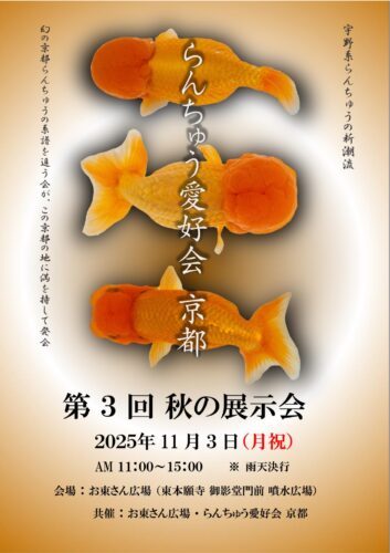 らんちゅう愛好会京都 第３回秋の展示会